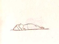 samuel_development_thumb